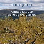 16 - Fulufjellets National Parks - This Is The Place Where Norway And Sweden Meet In A Large Protected Area * Ljørdal