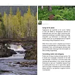 16 - Fulufjellets National Parks - This Is The Place Where Norway And Sweden Meet In A Large Protected Area Lägenhet *