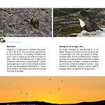 16 - Fulufjellets National Parks - This Is The Place Where Norway And Sweden Meet In A Large Protected Area Lägenhet
