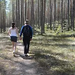 16 - Fulufjellets National Parks - This Is The Place Where Norway And Sweden Meet In A Large Protected Area Апартаменты