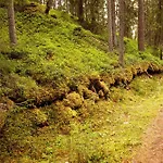 16 - Fulufjellets National Parks - This Is The Place Where Norway And Sweden Meet In A Large Protected Area Lägenhet