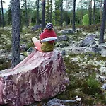 Lägenhet 16 - Fulufjellets National Parks - This Is The Place Where Norway And Sweden Meet In A Large Protected Area