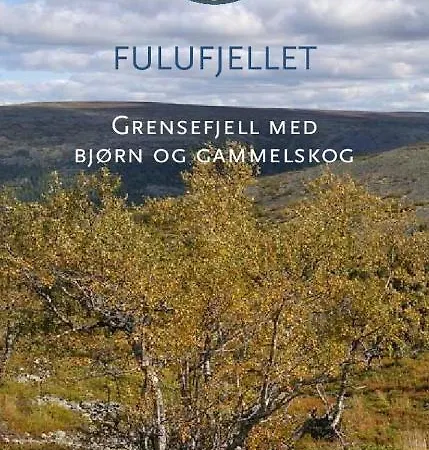 16 - Fulufjellets National Parks - Is The Place Where Norway And Sweden Meet In A Large Protected Area * Ljørdal