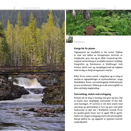16 - Fulufjellets National Parks - Is The Place Where Norway And Sweden Meet In A Large Protected Area Apartman *