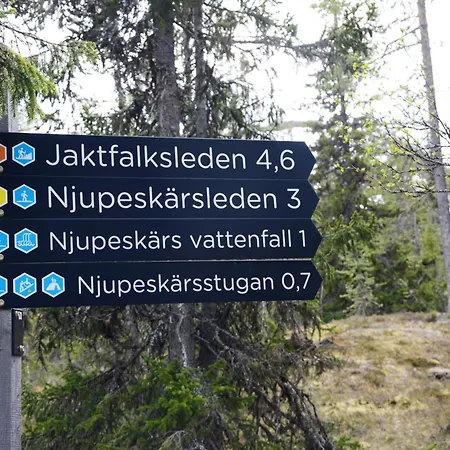 16 - Fulufjellets Nasjonalparker - Natur-, Dyre- Og Fugleopplevelser Ljørdal