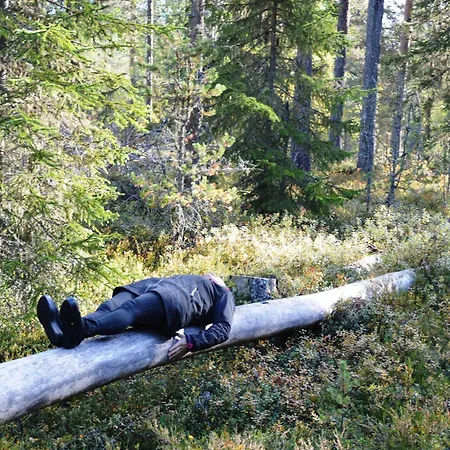 16 - Fulufjellets Nasjonalparker - Natur-, Dyre- Og Fugleopplevelser