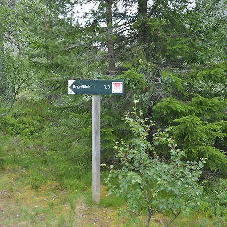 16 - Fulufjellets Nasjonalparker - Natur-, Dyre- Og Fugleopplevelser Appartamento *