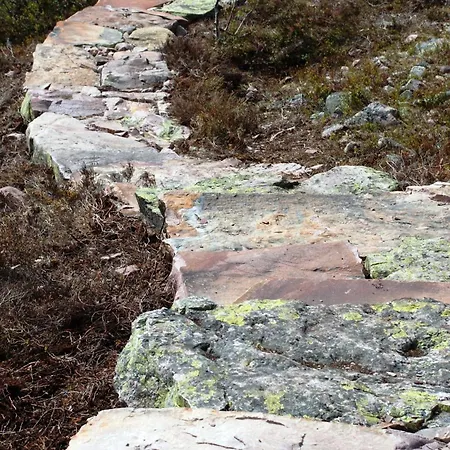 16 - Fulufjellets Nasjonalparker - Natur-, Dyre- Og Fugleopplevelser Ljørdal