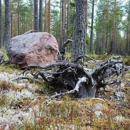 16 - Fulufjellets Nasjonalparker - Natur-, Dyre- Og Fugleopplevelser Appartamento Ljørdal