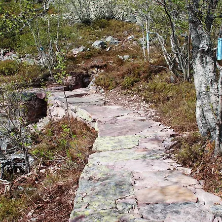 16 - Fulufjellets Nasjonalparker - Natur-, Dyre- Og Fugleopplevelser *