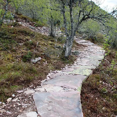 16 - Fulufjellets Nasjonalparker - Natur-, Dyre- Og Fugleopplevelser Appartamento *