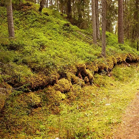 16 - Fulufjellets National Parks - Is The Place Where Norway And Sweden Meet In A Large Protected Area Apartman