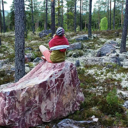 Apartman 16 - Fulufjellets National Parks - Is The Place Where Norway And Sweden Meet In A Large Protected Area
