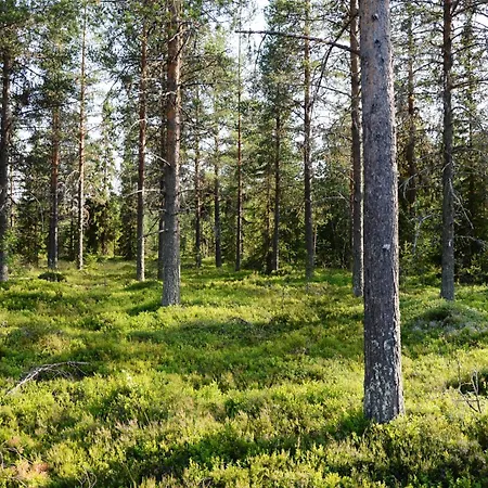 Appartamento 16 - Fulufjellets Nasjonalparker - Natur-, Dyre- Og Fugleopplevelser *