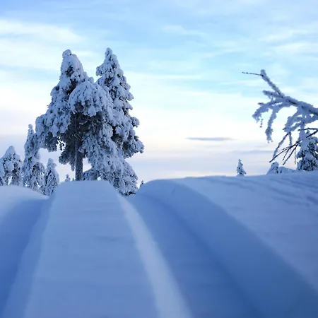 Appartement 16 - At Fulufjellstunet - Winter Wonderland - Snow And Nature In Norway Ljørdal