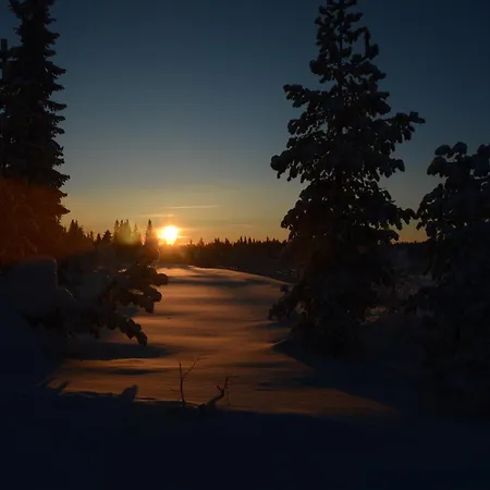 16 - At Fulufjellstunet - Winter Wonderland - Snow And Nature In Norway