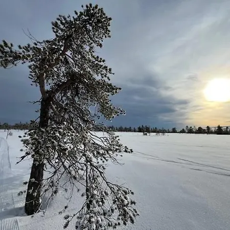 16 - At Fulufjellstunet - Winter Wonderland - Snow And Nature In Norway Ljørdal