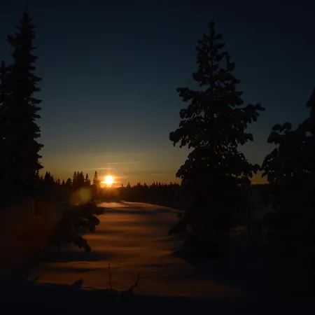 16 - At Fulufjellstunet - Winter Wonderland - Snow And Nature In Norway Apartamento