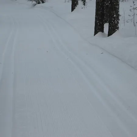 16 - At Fulufjellstunet - Winter Wonderland - Snow And Nature In Norway Apartamento Ljørdal