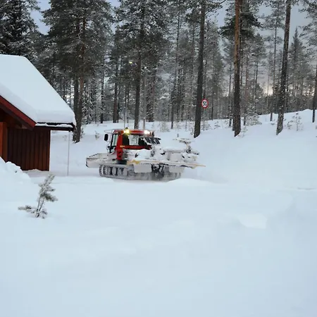 16 - At Fulufjellstunet - Winter Wonderland - Snow And Nature In Norway *
