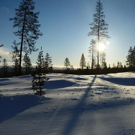 16 - At Fulufjellstunet - Winter Wonderland - Snow And Nature In Norway * Ljørdal