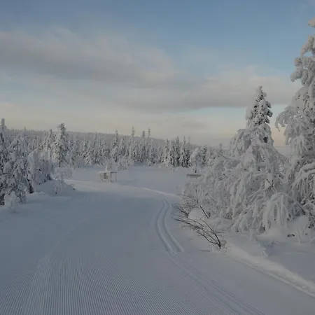16 - At Fulufjellstunet - Winter Wonderland - Snow And Nature In Norway * Ljørdal