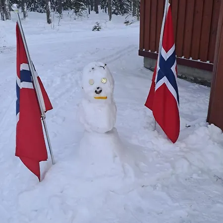 Apartamento 16 - At Fulufjellstunet - Winter Wonderland - Snow And Nature In Norway