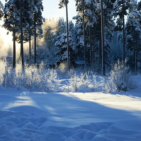 Apartamento 16 - At Fulufjellstunet - Winter Wonderland - Snow And Nature In Norway Ljørdal