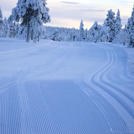 16 - At Fulufjellstunet - Winter Wonderland - Snow And Nature In Norway *