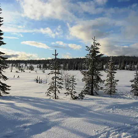 16 - At Fulufjellstunet - Winter Wonderland - Snow And Nature In Norway * Ljørdal