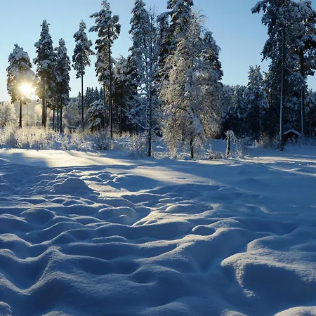 16 - At Fulufjellstunet - Winter Wonderland - Snow And Nature In Norway