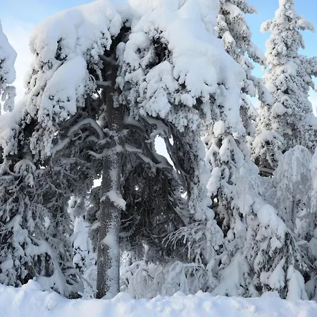 16 - At Fulufjellstunet - Winter Wonderland - Snow And Nature In Norway Apartamento
