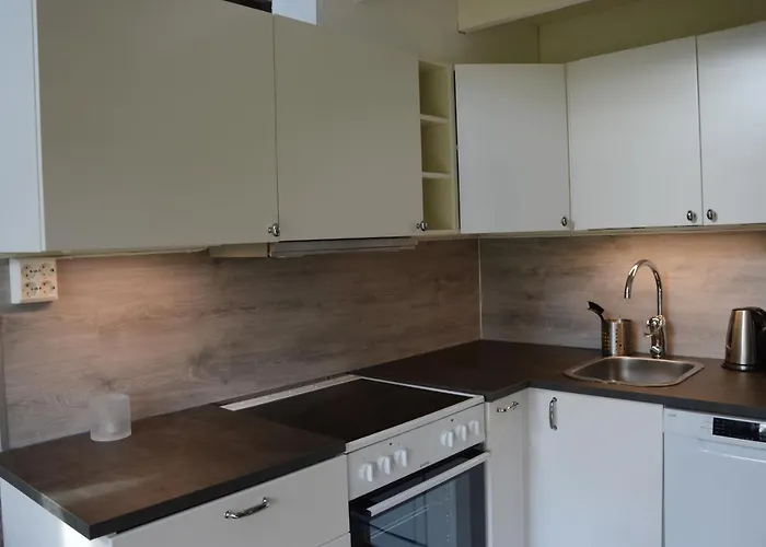 16 - Fulufjellets Nasjonalparker - Sno - Alpint - Langrenn - Snoscooter Ljørdal