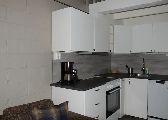 16 - Fulufjellets Nasjonalparker - Sno - Alpint - Langrenn - Snoscooter * Ljørdal