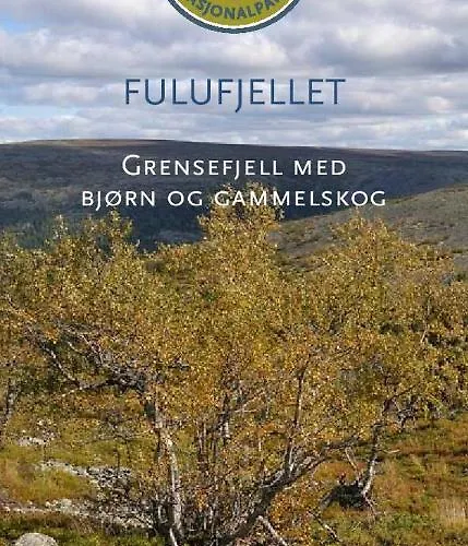 16 - Fulufjellets National Parks - This Is The Place Where Norway And Sweden Meet In A Large Protected Area * Ljørdal