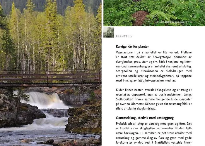 16 - Fulufjellets National Parks - This Is The Place Where Norway And Sweden Meet In A Large Protected Area Apartament *