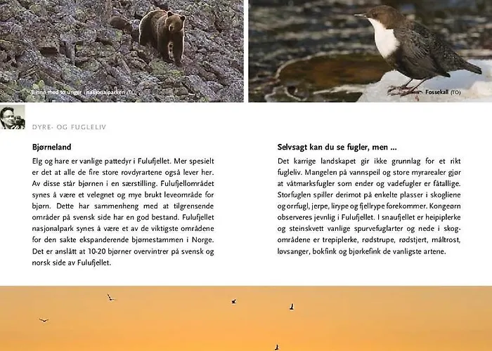 16 - Fulufjellets Nasjonalparker - Sno - Alpint - Langrenn - Snoscooter Lägenhet