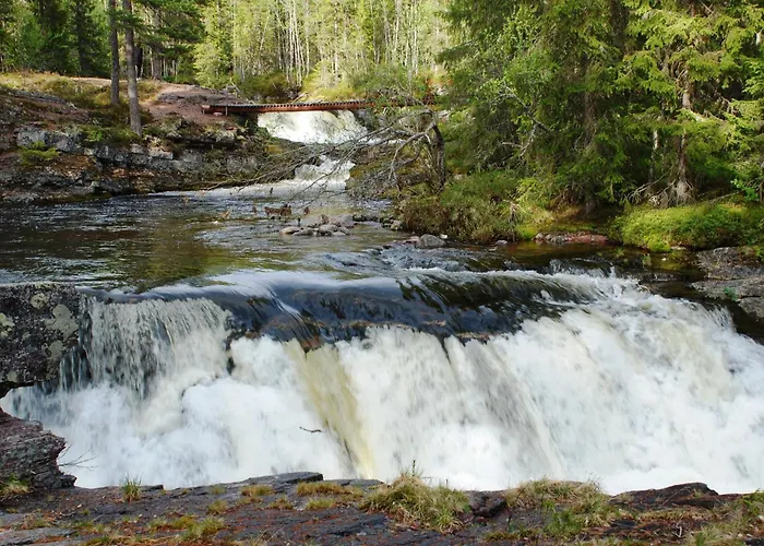16 - Fulufjellets National Parks - This Is The Place Where Norway And Sweden Meet In A Large Protected Area Apartament