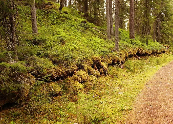 16 - Fulufjellets Nasjonalparker - Sno - Alpint - Langrenn - Snoscooter Lägenhet