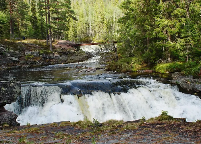 16 - Fulufjellets Nasjonalparker - Sno - Alpint - Langrenn - Snoscooter Lägenhet