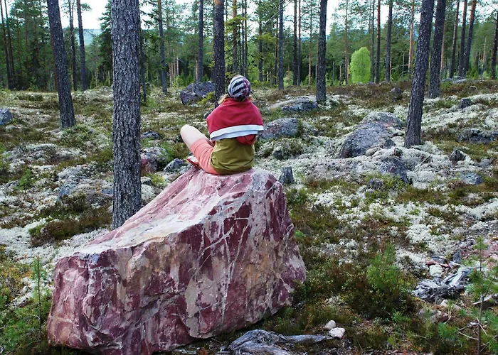 Apartament 16 - Fulufjellets National Parks - This Is The Place Where Norway And Sweden Meet In A Large Protected Area