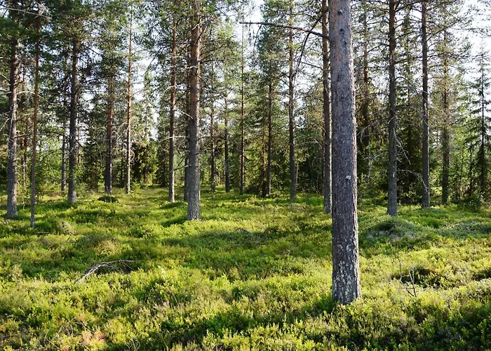 Apartament 16 - Fulufjellets National Parks - This Is The Place Where Norway And Sweden Meet In A Large Protected Area *
