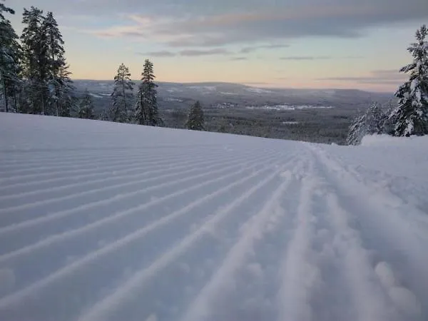 Lägenhet 16 - Fulufjellets Nasjonalparker - Sno - Alpint - Langrenn - Snoscooter *