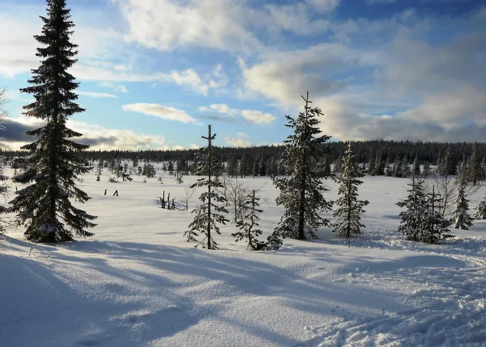 16 - Fulufjellets Nasjonalparker - Sno - Alpint - Langrenn - Snoscooter Ljørdal