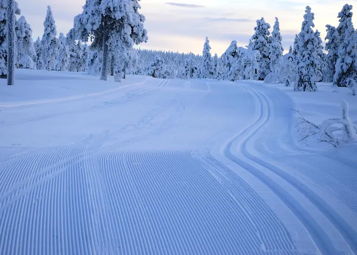 Lägenhet 16 - Fulufjellets Nasjonalparker - Sno - Alpint - Langrenn - Snoscooter *