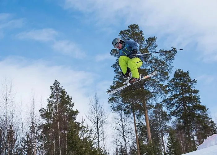 Lägenhet 16 - Fulufjellets Nasjonalparker - Sno - Alpint - Langrenn - Snoscooter *