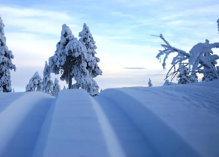 16 - Fulufjellets Nasjonalparker - Sno - Alpint - Langrenn - Snoscooter Lägenhet