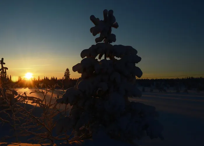 16 - Fulufjellets Nasjonalparker - Sno - Alpint - Langrenn - Snoscooter Lägenhet Ljørdal