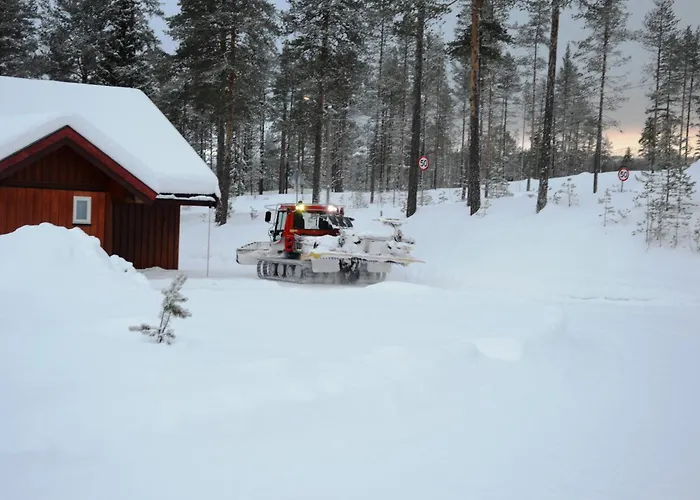 16 - Fulufjellets Nasjonalparker - Sno - Alpint - Langrenn - Snoscooter Ljørdal