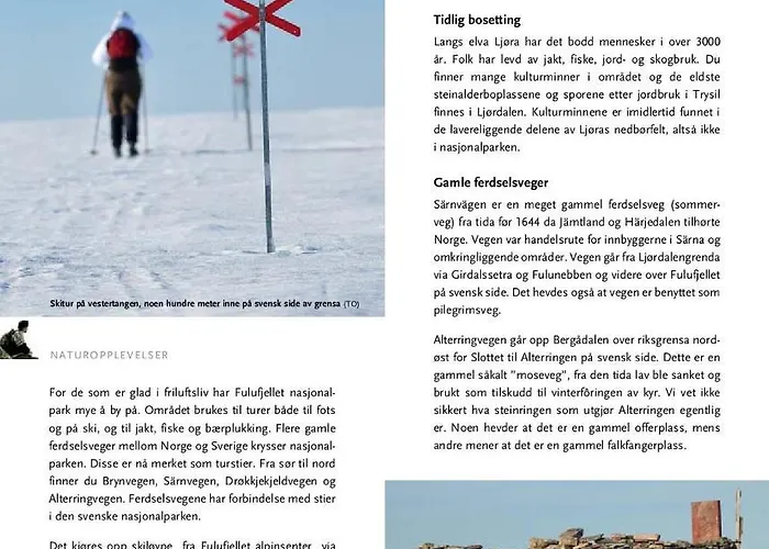 Leilighet 16 - Fulufjellets Nasjonalparker - Snø - Alpint - Langrenn - Snøscooter Ljørdal